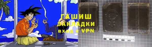 индика Вяземский