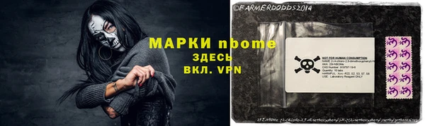 индика Вяземский
