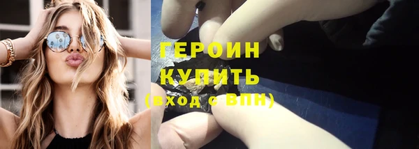 индика Вяземский