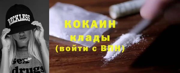 ГАЛЛЮЦИНОГЕННЫЕ ГРИБЫ Вязники