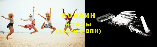 ГАЛЛЮЦИНОГЕННЫЕ ГРИБЫ Вязники