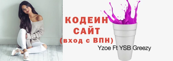индика Вяземский