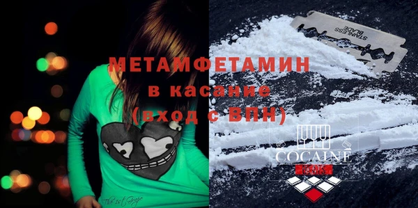 индика Вяземский