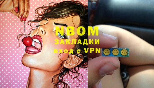 ГАЛЛЮЦИНОГЕННЫЕ ГРИБЫ Вязники