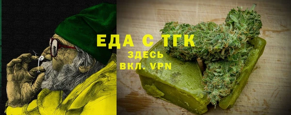 индика Вяземский