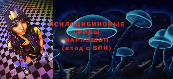 индика Вяземский