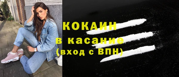 индика Вяземский