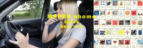 индика Вяземский