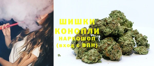 ГАЛЛЮЦИНОГЕННЫЕ ГРИБЫ Вязники