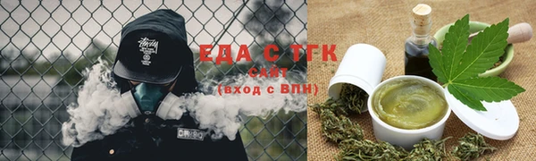 индика Вяземский