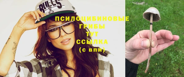 индика Вяземский