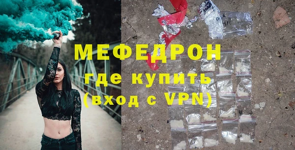 индика Вяземский